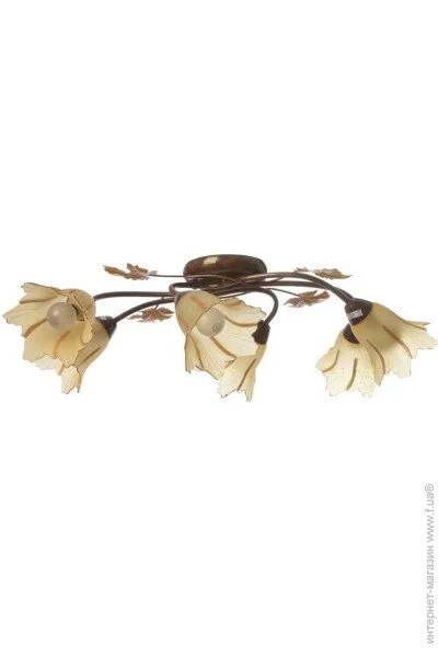 Brille  LK-194S/E1-L5-284