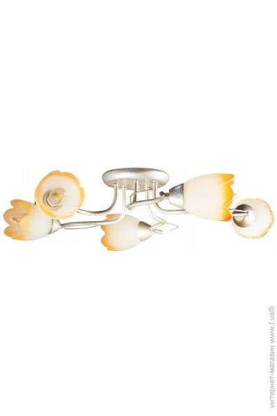 Brille  LK-196S/E1-L5-308