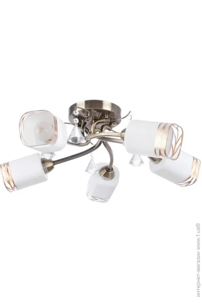 Brille  LK-213S/E1A-L53-003