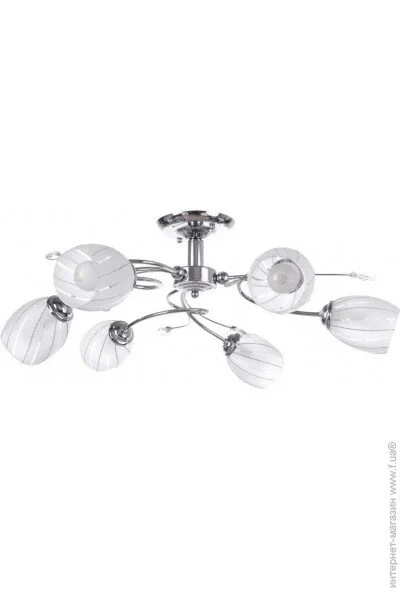 Brille  LK-219S/E1C (L53-021)