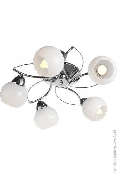 Brille  LK-258C/E2-L112-008