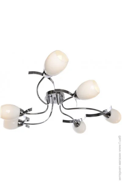 Brille  LK-260C/E1-L112-014