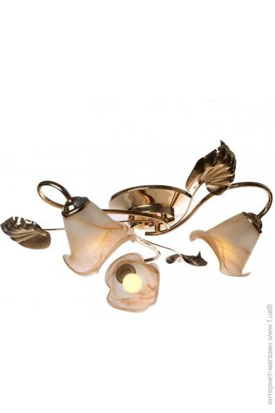 Brille  LK-277C/E1-L117-014