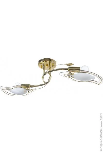 Brille  LK-341S/E1-L67-025