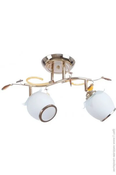 Brille  LK-377S/E1-L67-075