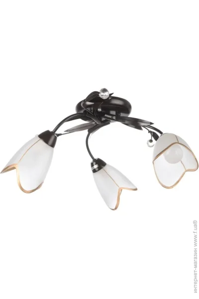Brille  LK-403S/E1 (L67-119)