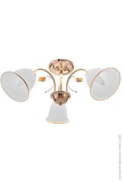 Brille  LK-581S/E2-23-178