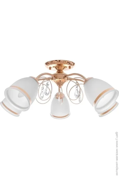 Brille  LK-582S/E2-23-181