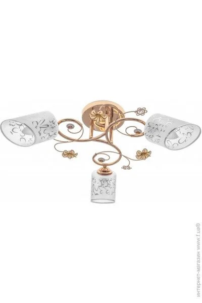 Brille  LK-583S/E2-23-182