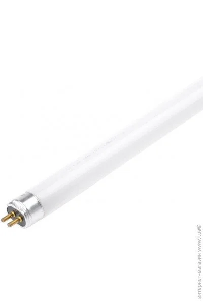    G5 LT5 28W/33 BRILLE T5 (126482)