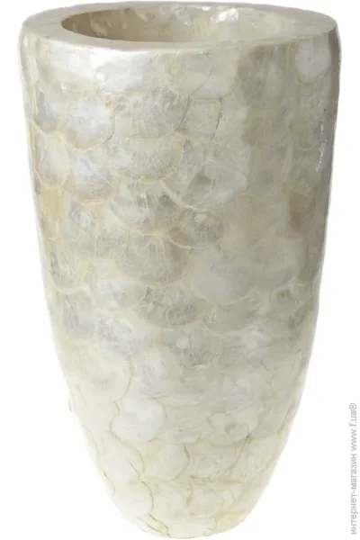 Brille   QF51 (D31-001)