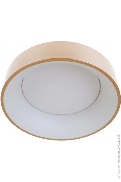   -  WBL-28C/30W*2 RG (23-846)