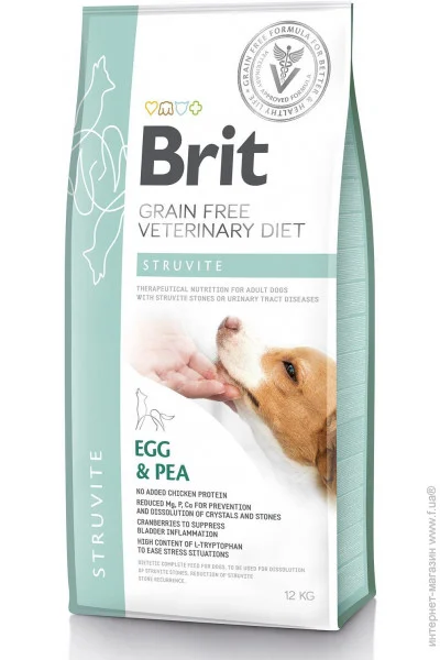  Brit               12 