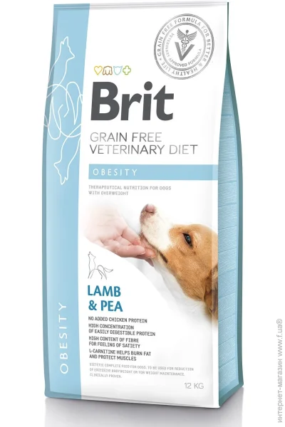   Brit              12 