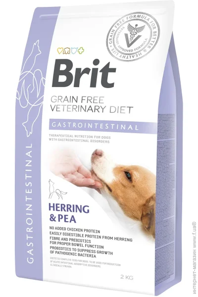   Brit            12 