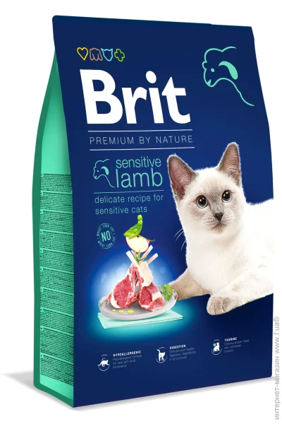   Brit   8 