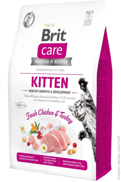  GF Kitten    2  171 278