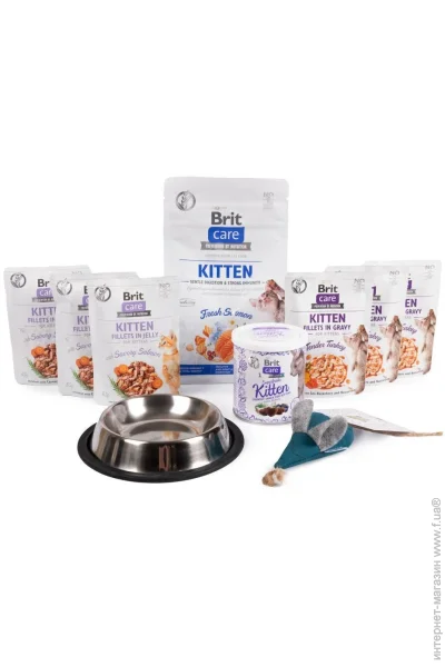Brit  GIFT BOX Kitten (2700000051856)