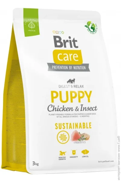   Brit      Sustainable Puppy   3 