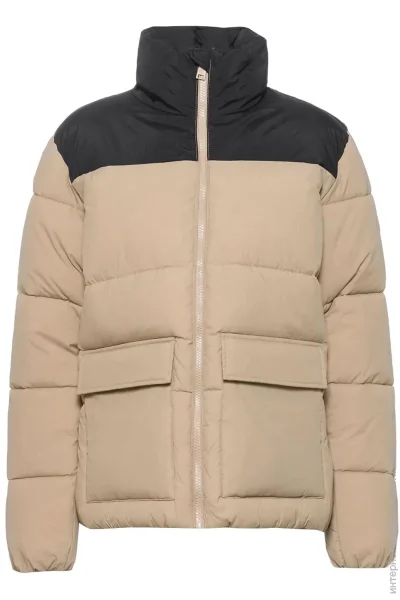 Champion   116873-MS066 .M
