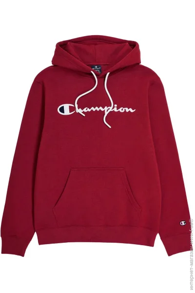  ,  Champion  219203-RS508/TBR .S 