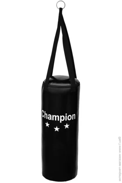 Champion   CHM00710 90x28  