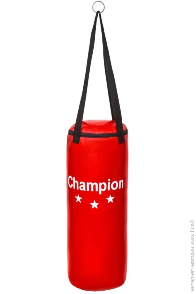 Champion   CHM00721 70x28  