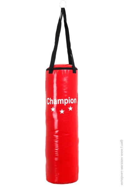 Champion   CHM00722 90x28  