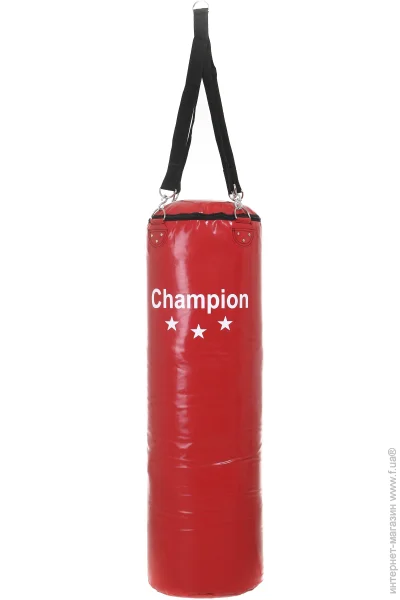 Champion   CHM00877 100x32  