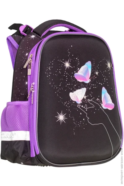   Class   Butterfly 382916  2513C 13010119 ,   