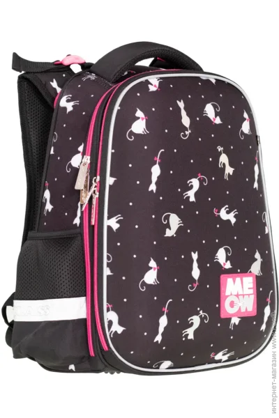   Class   Cats 382916  2512C 13010118 ,   
