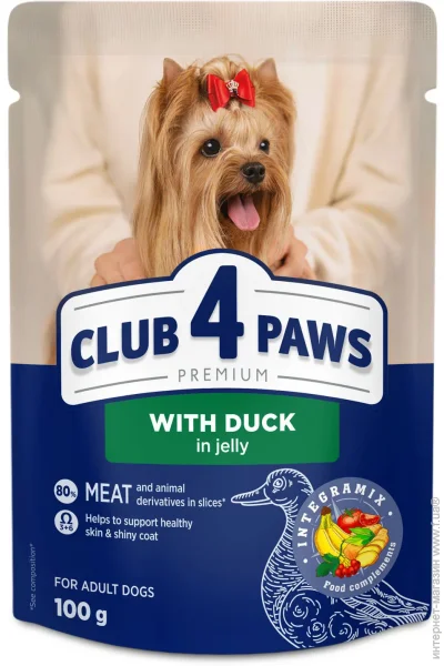   Club 4 Paws         100 