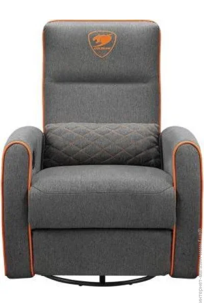   Cougar Fidom Gray