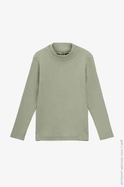 Deniz Водолазка однотонна дитяча 100 92 см Оливковий (2000990885753) Deniz Водолазка однотонна дитяча 100 92 см Оливковий (2000990885753)