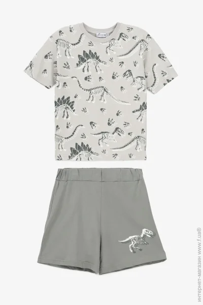 Спортивный костюм Dinomin Костюм футболка+ шорты для мальчика M104 104 см Серый (2000991040106) Спортивный костюм Dinomin Костюм футболка+ шорты для мальчика M104 104 см Серый (2000991040106)