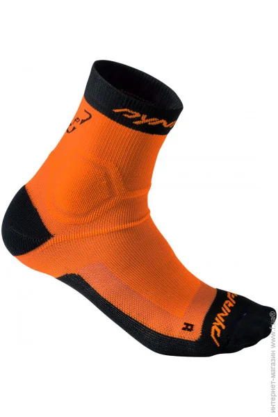 Dynafit Alpine Short (016.002.0171)