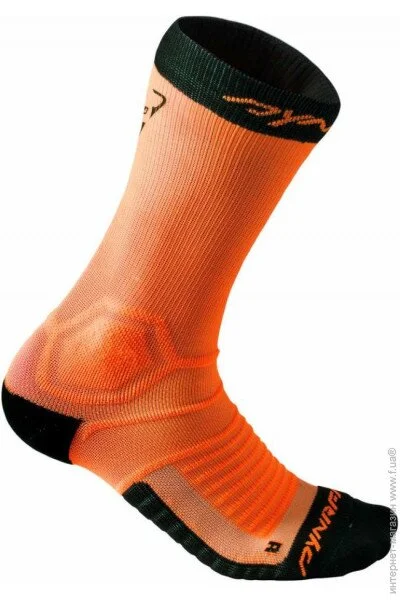   Dynafit Ultra Cushion  (1054-016.002.0579)