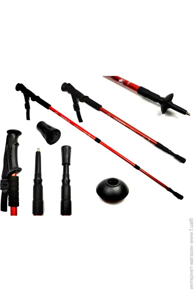   Easyfit     Energia 