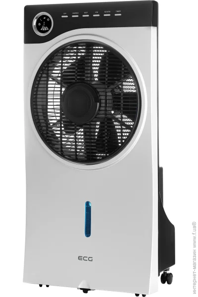   ECG 31 Mr. Fan