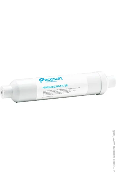  Ecosoft     