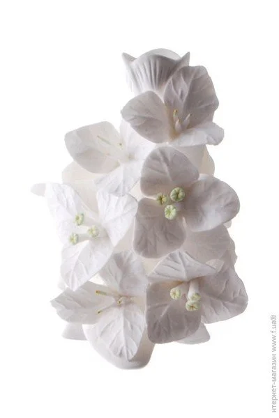  Enesco  (72BBD514)