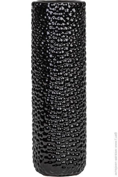 Eterna   101 46,5  