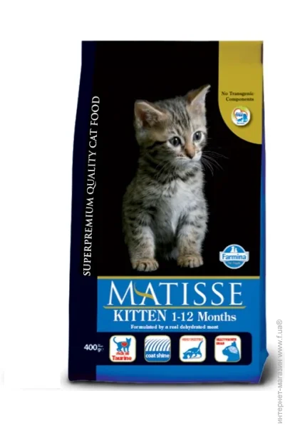     Matisse Kitten   400 
