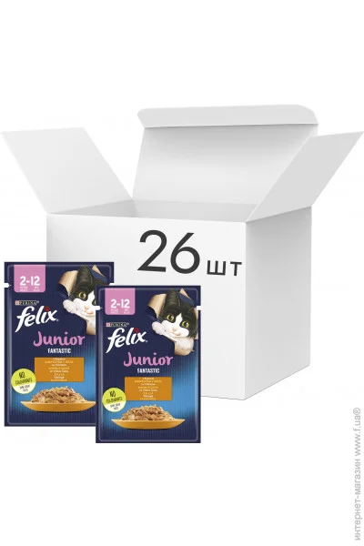   Felix Fantastic    26x85 (7613039832196)