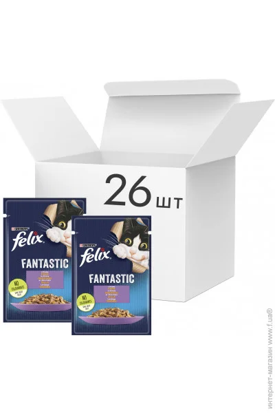   Felix Fantastic  26x85 (7613039838976)