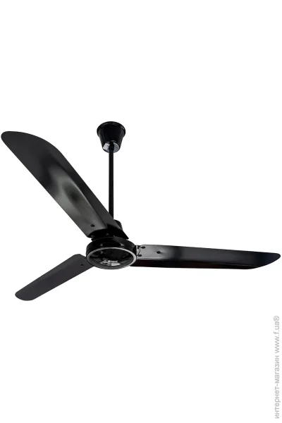 Fenne  03.211 Black