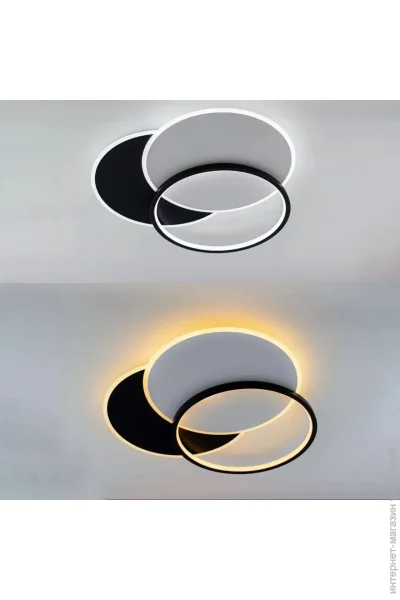 Focus Light  - 2*76 - L8164-550
