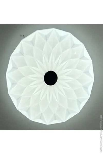 Focus Light   500  2x48  L8156-500