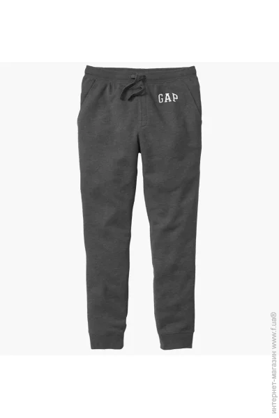   GAP Logo Grey (500382-00-L)