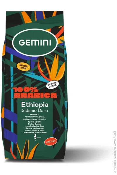 Gemini  Ethiopia Sidamo 1  